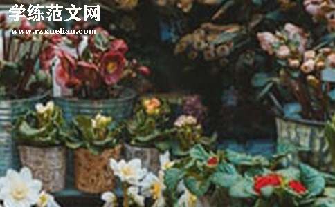 花店策划书