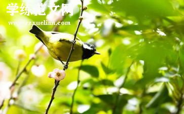 教师奉献青春演讲稿优质5篇