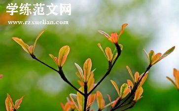 教师奉献青春演讲稿8篇