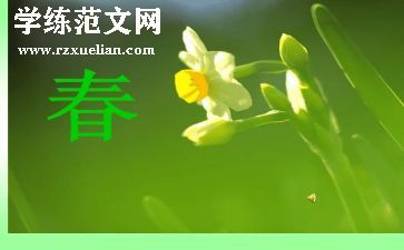 教师奉献青春演讲稿通用7篇