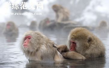 一种享受作文8篇