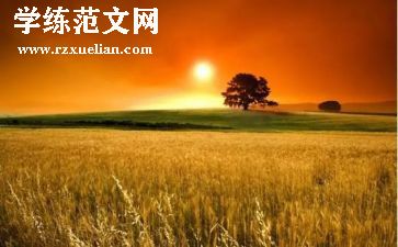 我心暖了作文参考8篇