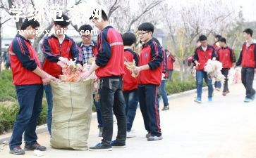 电大学生社会调查报告参考5篇