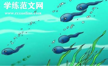 折蝌蚪教案精选7篇