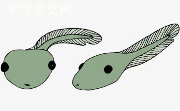 折蝌蚪教案最新5篇