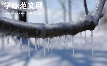 寒假汇报总结7篇