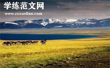 来新疆的心得体会7篇
