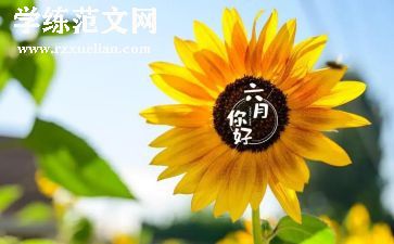 幼儿小班六月份工作计划6篇