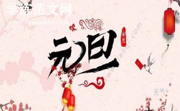 关于元旦活动总结7篇