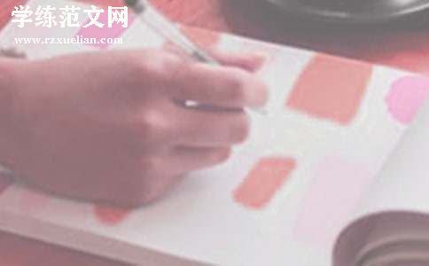 新人工作计划范文