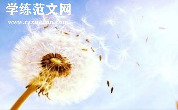 爱让我感动作文500字6篇