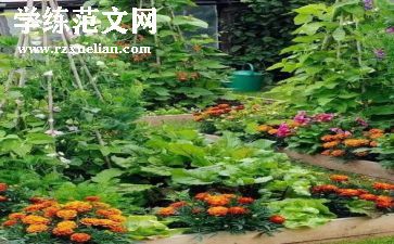 《蔬菜宝宝》教案6篇