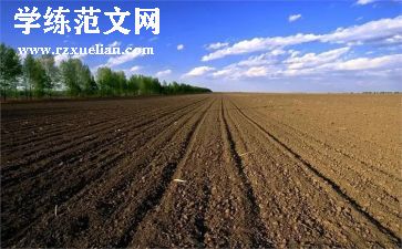 2024年工地工作总结通用8篇