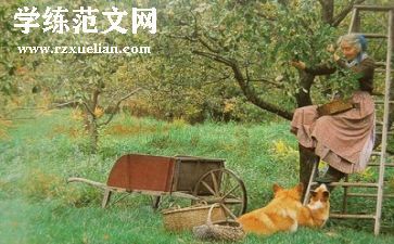 生活中的发现作文通用5篇