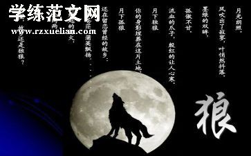 观狼王梦的读后感300字8篇