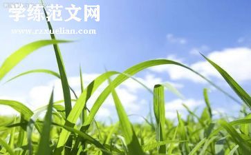 烟草公司竞聘演讲稿5篇