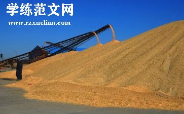 运粮食活动教案8篇
