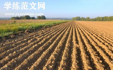 房地产销售的工作总结范文精选8篇