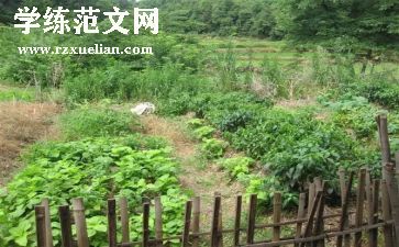 幼儿中班买菜歌教案5篇