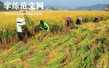 劳动合同的补充合同通用8篇