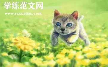 动物教学教案通用6篇