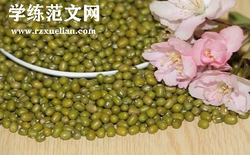 运豆子教案7篇