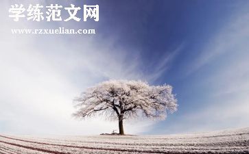 除雪工作调查报告范文8篇