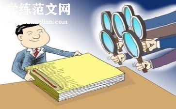 半年度审计工作总结推荐7篇