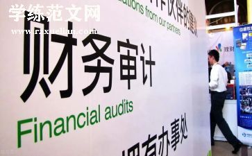 半年度审计工作总结7篇