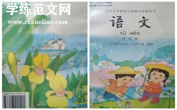三年级上册人教版数学教学计划6篇