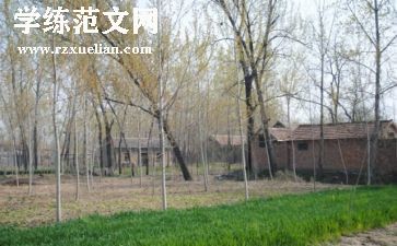 2024乡村医生年度总结6篇
