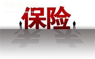 保险公司个人年终总结范文5篇