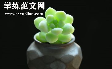 多肉?A作文优质5篇