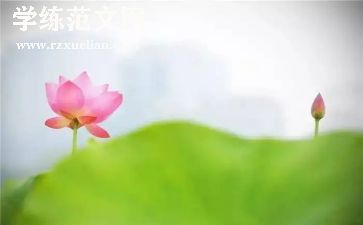 慈善月活动策划方案模板范文6篇