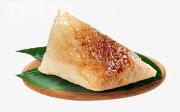 粽子船教案参考8篇