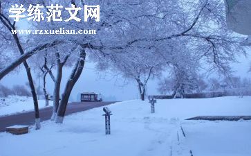 中班冬至活动总结模板5篇
