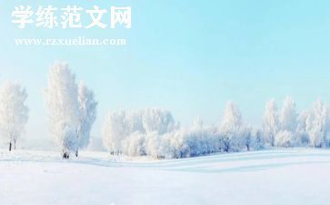 中班冬至活动总结8篇