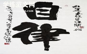 2024护士廉洁自律个人总结5篇