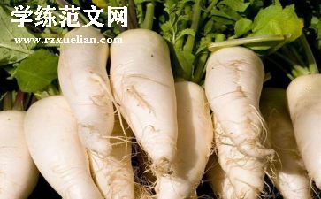 认识萝卜小班科学教案6篇