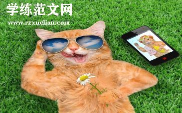 有趣的教学反思精选8篇