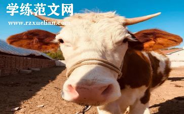 牛人的作文800字优秀5篇