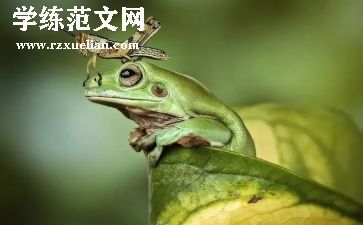 有趣的教学反思5篇