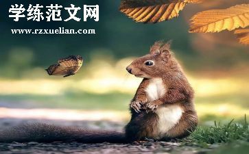 有趣的教学反思优质5篇
