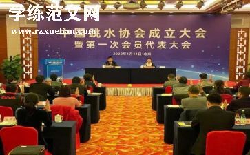 协会2024工作总结最新7篇