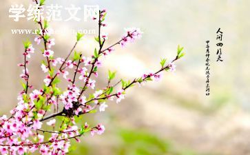 春游活动总结通用7篇