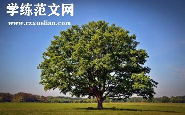 树的感受作文通用8篇