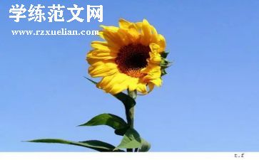 学年鉴定总结表自我总结8篇