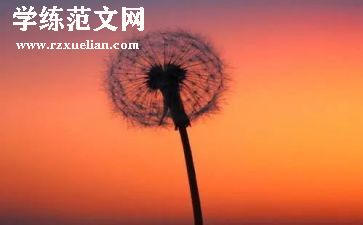 义务教育总结参考6篇