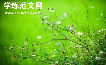 运动会春季作文800字5篇