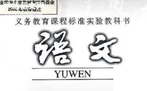 关于一年级语文的教学工作总结（精选11篇）